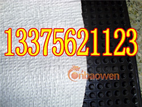 大连排水板~大连塑料排水保护板制造~大连屋面蓄水板