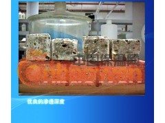 外墙瓷砖防水剂/勾缝防水剂/砂浆混凝土防水剂图2