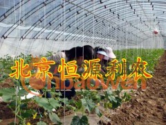 蔬菜大棚骨架机，大棚支架机，温室大棚图2