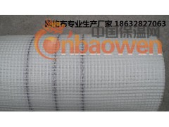 网格布价格 网格布厂家 网格布图片 网格布规格 网格布批发图2