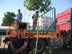 河北网格布价格网格布报价网格布价格表图3