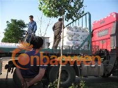 耐碱玻璃纤维网格布_厂家价格图2