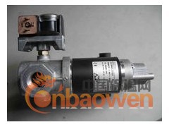 意大利利雅路燃气40系列燃烧器GS5，FS10图2