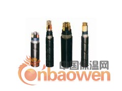 五芯聚氯乙烯绝缘电力电缆图2