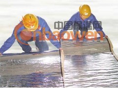 广东防水卷材找哪家？青龙 PCM高分子复合自粘防水卷材图3