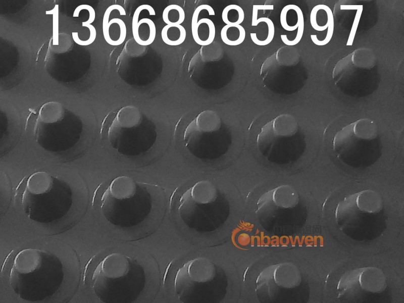 供应哈尔滨排水板%哈尔滨排水板%%哈尔滨排水板