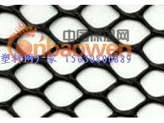 塑料平网 塑料网 绿色 黑色 白色 厂家供应现货图3