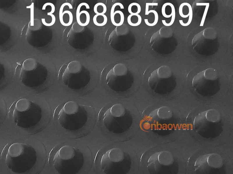 供应鄂尔多斯排水板@鄂尔多斯排水板@鄂尔多斯排水板