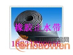止水带 橡胶止水带 遇水膨胀橡胶止水带图3