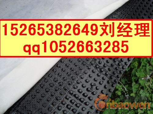 株洲HDPE排水板施工|岳阳车库{HDPE排水板}销售点