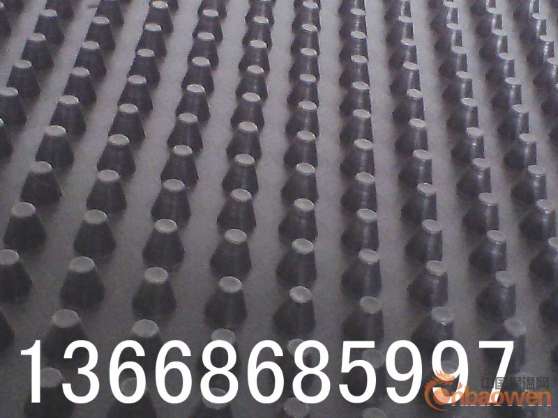 供应天津排水板~天津排水板~天津排水板