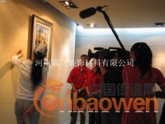 河南瑞兰环保艺术涂料十大品牌漆硅藻泥图2