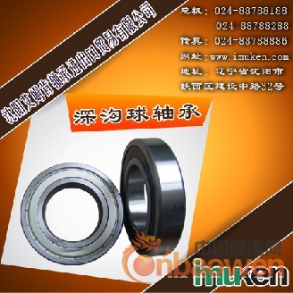 ICAN进口深沟球轴承引起内在因素美国ICAN深沟球轴承原因