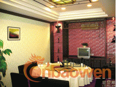 山东液体壁纸漆厂家 馨雅液体壁纸招商加盟图2