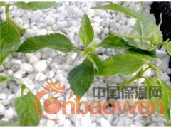 膨胀珍珠岩 屋面保温 防火耐火材料图2