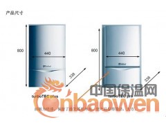 供应豪华型燃气壁挂式采暖/热水锅炉图3