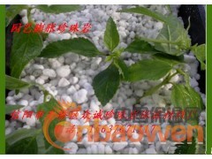 园艺珍珠岩/栽培基质珍珠岩/育苗珍珠岩/众诚珍珠岩厂图2