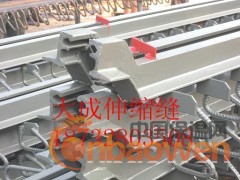 2013新款桥梁伸缩缝2013新款桥梁伸缩缝图纸新款伸缩缝图3