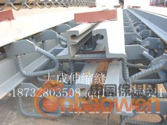 C型新工艺桥梁伸缩缝E型新工艺桥梁伸缩缝D型【DC施工图集】图2