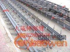 2013新工艺冷弯型钢C型80D型80桥梁伸缩缝钢梁U钢筋图3