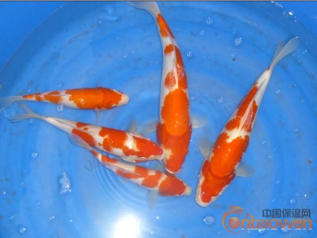 外墙外保温复合岩棉板厂家价格报价,A1级不燃性防火保温材料