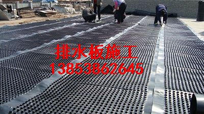 河南屋顶花园绿化专用排水板蓄排水板