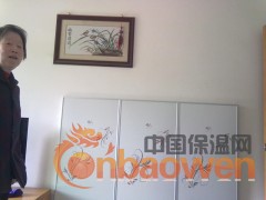 咸阳碳晶墙暖