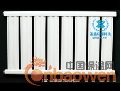 钢制云梯散热器图2