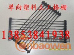 福建、福州单向塑料土工格栅厂家13853841938 单经理图2
