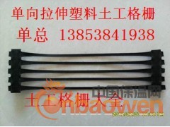 福建、福州单向塑料土工格栅厂家13853841938 单经理图3