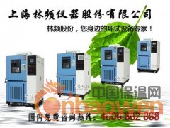 【高低温箱LRHS-101B-L】上海品牌图3