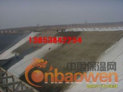 山东抗风化鱼塘防渗膜&污水处理厂专用2mm防渗膜图2
