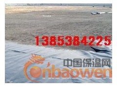 江苏人工湖景观湖防水布】保定鱼塘专用防水膜图3