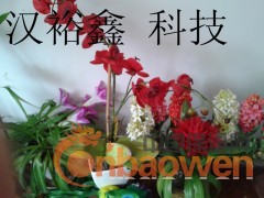 简介：