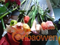 简介：