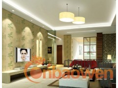 山东液体壁纸漆厂家 馨雅液体壁纸招商加盟图3