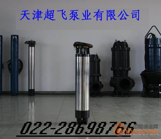 热水潜水电泵