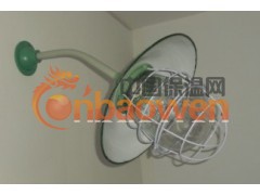 防水防尘灯100W工厂弯灯厂家直销中图2