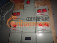 供应浙江防爆配电箱，防爆照明（动力)配电箱图3