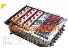 供应浙江不锈钢防爆配电箱BXMD系列（304)材质图3