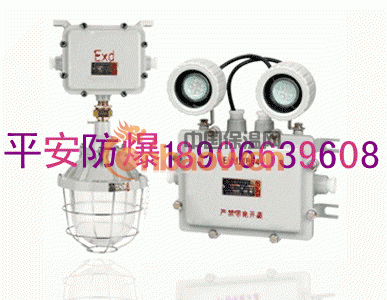 CBJ52系列LED防爆应急灯，双头防爆应急灯