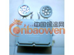 CBJ52系列LED防爆应急灯，双头防爆应急灯图2