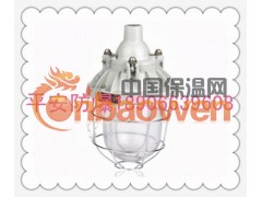 隔爆型防爆灯(BAD51 B3C CBD51)防爆白炽灯图2