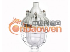 隔爆型防爆灯(BAD51 B3C CBD51)防爆白炽灯图3