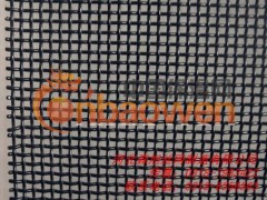 森旭厂家供应11目304材质金刚网图3