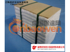 耐火隔热纤维模块｜保温耐火｜窑炉吊顶｜高温段保温图2