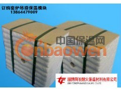 耐火隔热纤维模块｜保温耐火｜窑炉吊顶｜高温段保温图3