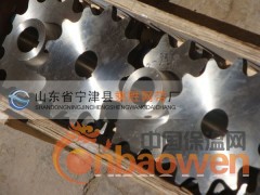 不锈钢链轮 C2052 C2062 C2082图2