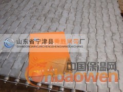 宁津县链板 链板厂 链板公司 链板地址 山东链板图3