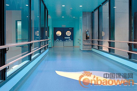 办公室环保地胶,办公室专用地胶垫,办公室塑胶地板